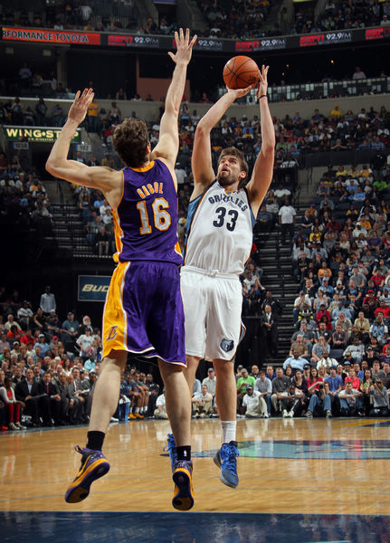 队凝聚力的 队凝聚力的