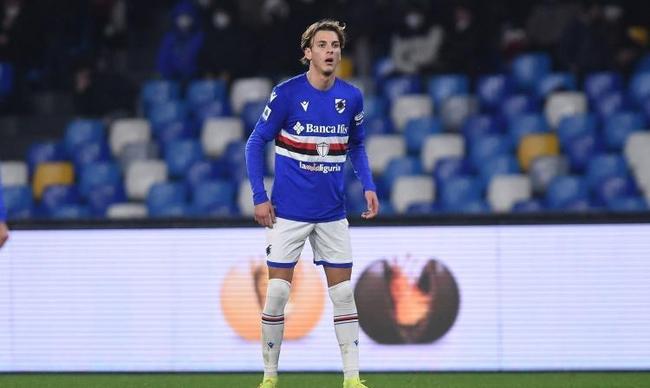 队友们完全 队友们完全