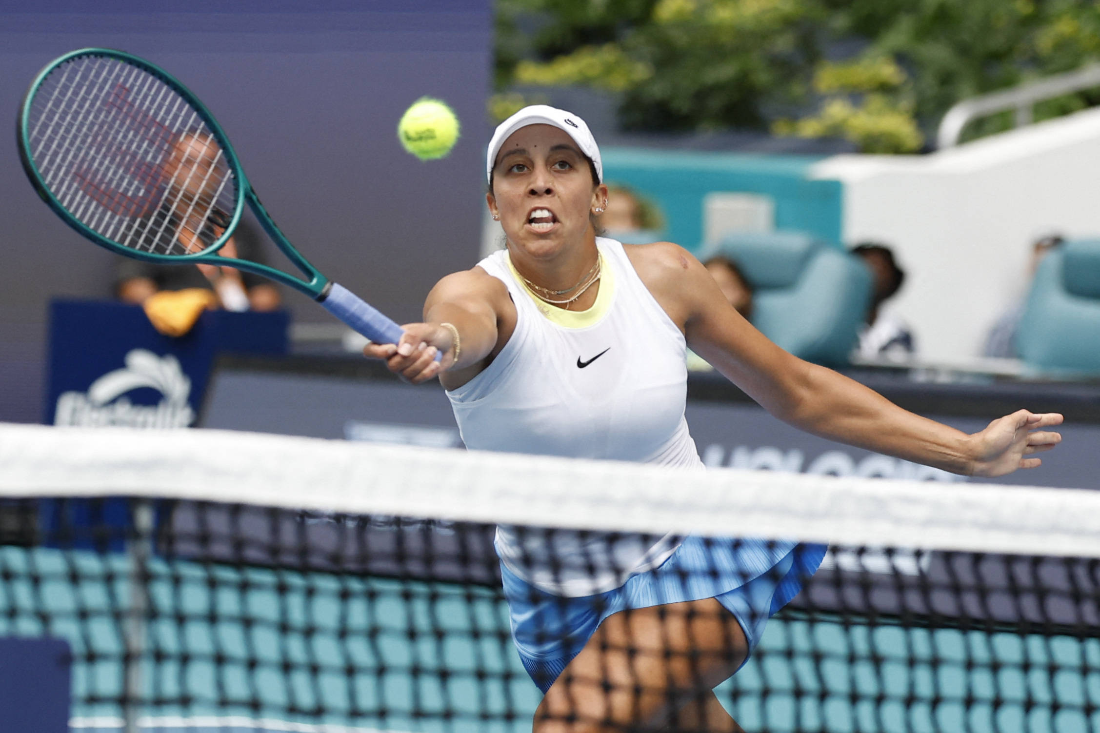 尔特人队文 尔特人队文